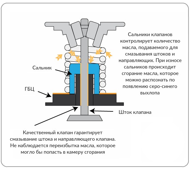 Износ маслосъемных колпачков